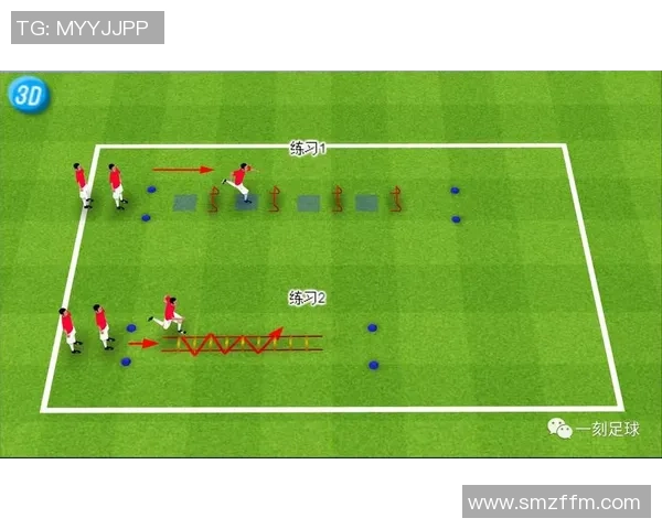 实况足球中超巨球星的踢球风格解析与技术特点探讨